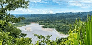 The Benefits of Sustainable Tourism in the Amazon Rainforest 
